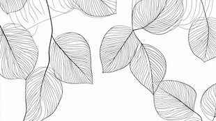 简约线条叶脉图案背景