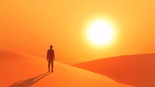 沙漠中独行的坚毅身影