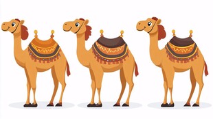 三只驮着鞍具的可爱骆驼