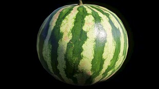 圆滚滚的条纹大西瓜