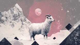 雪中山羊伴月奇幻景象