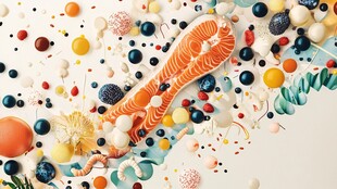 多彩美食拼盘 缤纷视觉盛宴