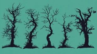 枯树剪影 独特的自然景象