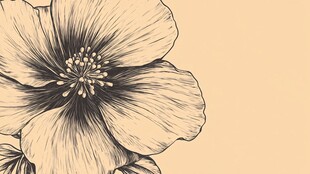 手绘花卉图案 简约风格