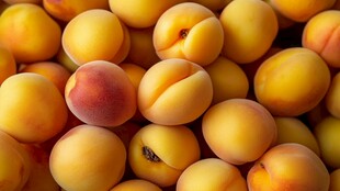 金黄饱满的杏子堆叠在一起