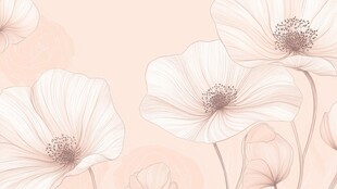 淡粉色背景下的优雅白花