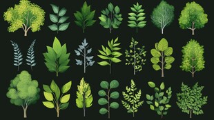 多样绿植素材集合