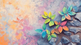 多彩秋叶铺于斑驳石面