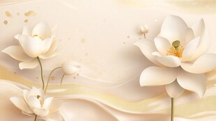 素雅白荷 灵动写意之美