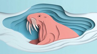 纸艺海象于波浪间休憩