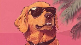时尚墨镜金毛犬的夏日风
