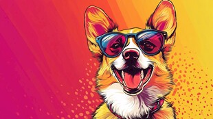 时尚墨镜柯基欢乐登场