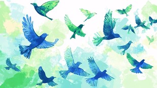 群鸟纷飞水彩画