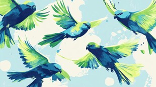 飞翔的多彩鸟儿艺术插画