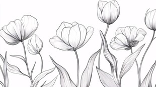 黑白线条手绘花卉图案