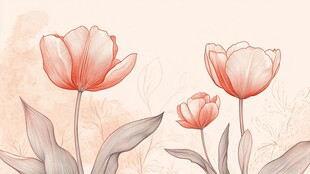 手绘淡粉郁金香花卉图