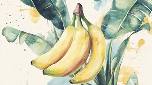 水彩绘香蕉与芭蕉叶