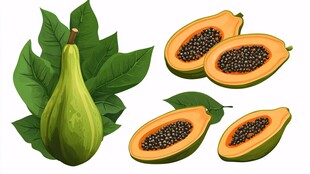 青木瓜与切开的熟木瓜展示