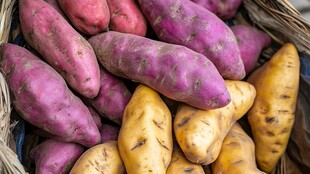 多彩红薯堆放在编织篮中