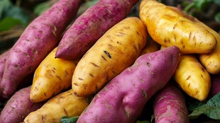 多彩红薯堆叠 新鲜诱人