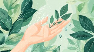 手捧新叶 邂逅清新绿意