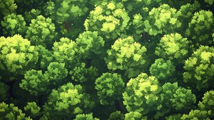 俯瞰葱郁茂密绿色树林