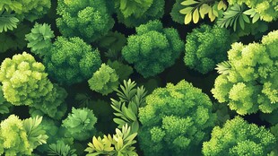 繁茂绿植构成的自然图景