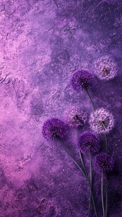 紫色梦幻蒲公英静物图