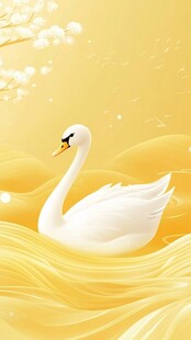 金色湖面上的优雅白天鹅