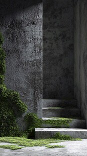 青苔覆盖的混凝土楼梯角落