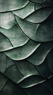 金属质感鳞片纹理背景图