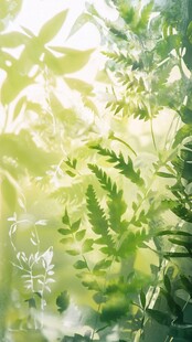 阳光洒落的清新绿植世界