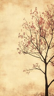 孤独红树映于复古背景