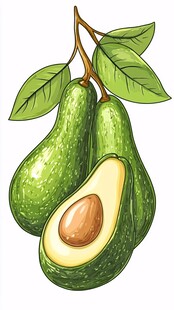 新鲜牛油果插画