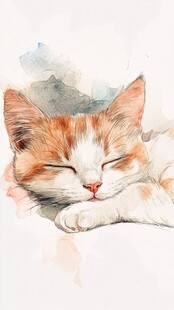 酣睡的萌猫水彩画