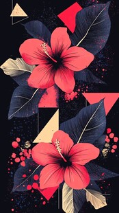 艳丽扶桑花几何图案设计