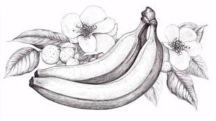 素描香蕉与花卉静物图