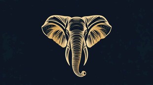 金色大象头 简约艺术风