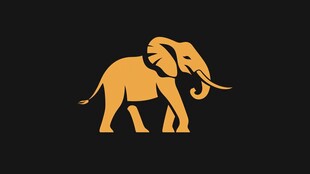 金色大象简约图标