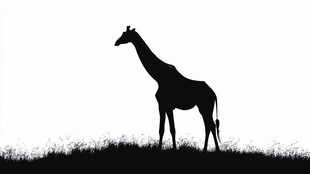 长颈鹿草原上的黑色剪影