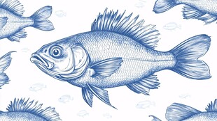 蓝色手绘鱼图案背景