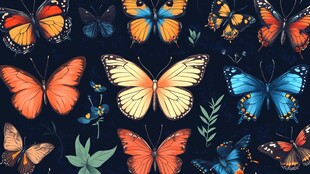 多彩蝴蝶花卉无缝图案