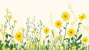 春日黄花烂漫插画