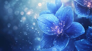梦幻蓝花 闪烁梦幻光斑