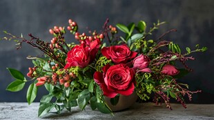 红玫瑰绿植精美插花作品