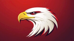 霸气白头鹰头像设计图