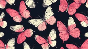 粉色蝴蝶图案 浪漫梦幻风