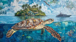 海龟畅游海上岛屿美景