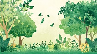 春日森林绿意盎然的景象