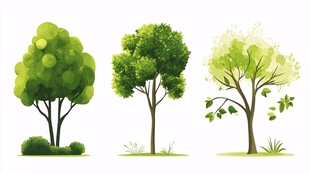 三棵风格各异的绿色树木